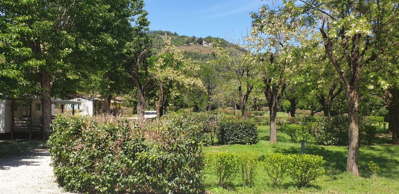 Camping Avec Piscine Et Riviere A Tournon Sur Rhone Ardeche Eksteriør billede