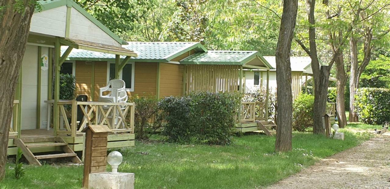 Camping Avec Piscine Et Riviere A Tournon Sur Rhone Ardeche Eksteriør billede